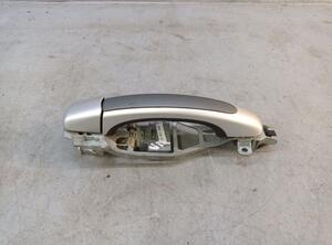 Door Handle PORSCHE CAYENNE (9PA)