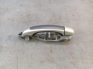 Door Handle PORSCHE CAYENNE (9PA)