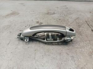 Door Handle PORSCHE CAYENNE (9PA)