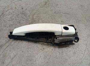 Door Handle OPEL ZAFIRA TOURER C (P12)