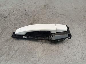 Door Handle OPEL ZAFIRA TOURER C (P12)