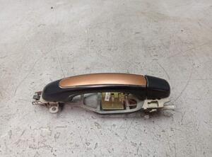 Door Handle PORSCHE CAYENNE (9PA)