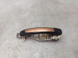 Door Handle PORSCHE CAYENNE (9PA)