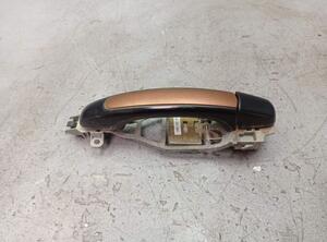 Door Handle PORSCHE CAYENNE (9PA)