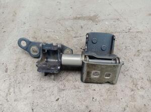 Door Hinge RENAULT CLIO III (BR0/1, CR0/1)