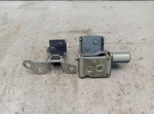 Door Hinge RENAULT CLIO III (BR0/1, CR0/1)