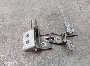 Door Hinge RENAULT CLIO III (BR0/1, CR0/1), RENAULT CLIO IV (BH_)