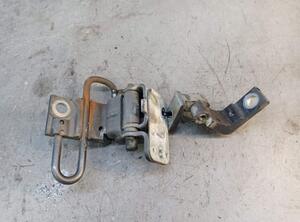 Door Hinge AUDI A4 (8EC, B7)