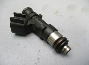 Injector Nozzle FORD Kuga I (--)