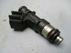 Injector Nozzle FORD Kuga I (--)