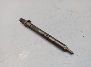 Injector Nozzle AUDI A4 Avant (8E5, B6), AUDI A4 Avant (8ED, B7)