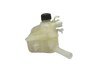 Coolant Expansion Tank RENAULT MEGANE III Grandtour (KZ0/1)