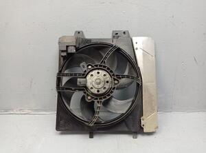 Radiator Electric Fan  Motor PEUGEOT 207 (WA, WC)