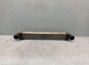 Intercooler MERCEDES-BENZ A-CLASS (W169)