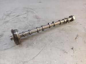 Camshaft AUDI A4 Avant (8W5, 8WD)