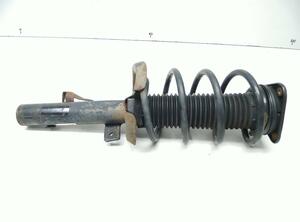 Suspension Strut FORD C-MAX (DM2)