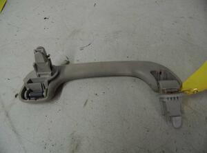 Grab Handle RENAULT ESPACE IV (JK0/1_)