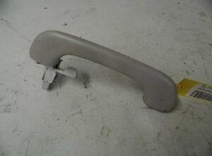 Grab Handle RENAULT ESPACE IV (JK0/1_)