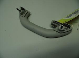 Grab Handle VW GOLF PLUS (5M1, 521)