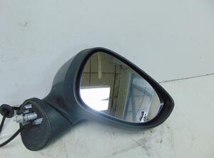 Wing (Door) Mirror FORD Fiesta VI (CB1, CCN)