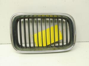 Radiateurgrille BMW 3 (E36)