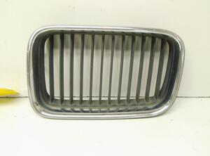 Radiateurgrille BMW 3 (E36)