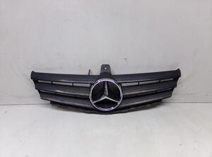 Radiator Grille MERCEDES-BENZ A-CLASS (W169)