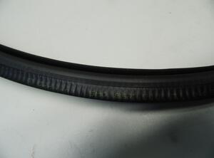 Door Seal VW GOLF PLUS (5M1, 521)