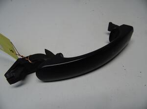 Door Handle VW GOLF PLUS (5M1, 521)