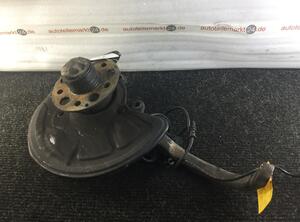 Stub Axle MERCEDES-BENZ SL (R230)