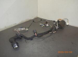 Wiring Harness RENAULT Laguna II (BG0/1)