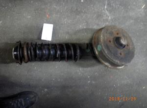 Suspension Strut VW Kaefer (--)