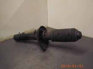 Suspension Strut AUDI TT (8N3)