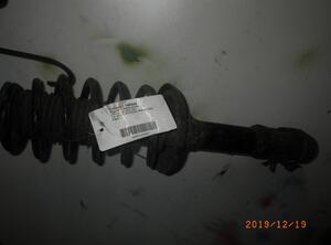 Suspension Strut VW Passat (35I, 3A2)