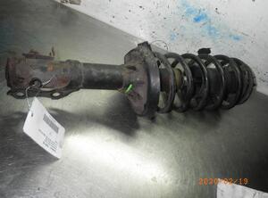 Suspension Strut VW Passat (35I, 3A2)