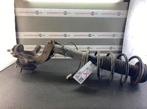 Suspension Strut FORD Transit Connect (P65, P70, P80)