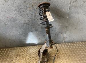 Suspension Strut OPEL Vectra C (--)