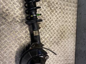 Suspension Strut SEAT Leon (1P1)