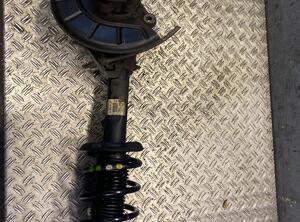 Suspension Strut SEAT Leon (1P1)