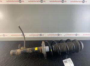 Suspension Strut CITROËN C1 (PM, PN)