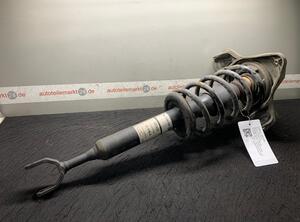 Suspension Strut VW Passat Variant (3B6)