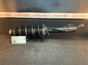 Suspension Strut AUDI A3 (8L1)