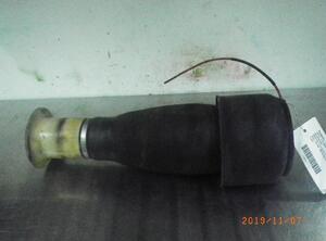 Shock Absorber BMW 5er Touring (F11)