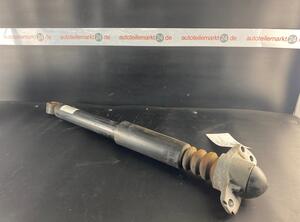 Shock Absorber VW Passat Alltrack (365), VW Passat Variant (365), VW Passat (362)