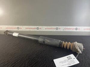 Shock Absorber VW Golf IV (1J1)