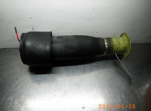 Shock Absorber BMW 5 Touring (F11)