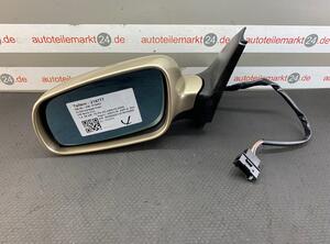 Wing (Door) Mirror VW Bora (1J2)