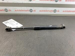 Bootlid (Tailgate) Gas Strut Spring AUDI A4 (8E2)