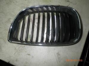 Radiateurgrille BMW 1er (E87), BMW 1er (E81)