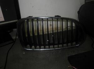 Radiator Grille BMW 1er (E87), BMW 1er (E81)